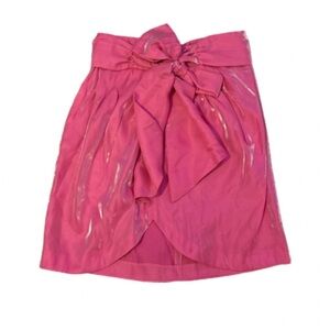 NWT Pink Zara Skirt